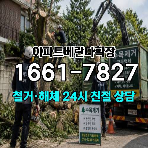 게시판 이미지 1556