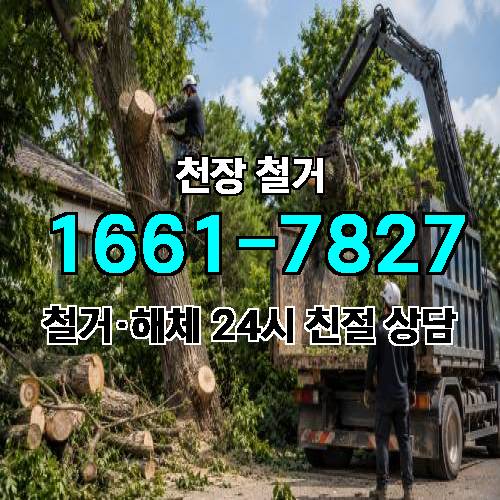 게시판 이미지 1975