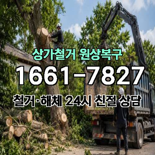 게시판 이미지 4117