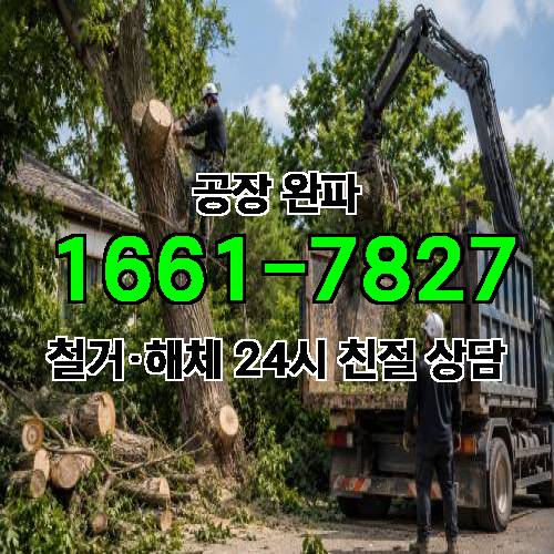 게시판 이미지 558