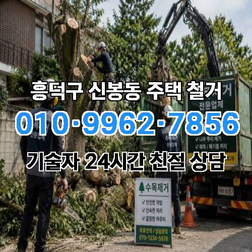 게시판 이미지 4856