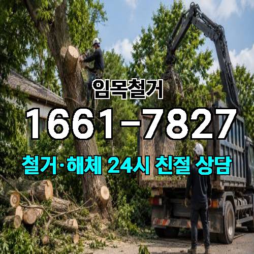 게시판 이미지 1013