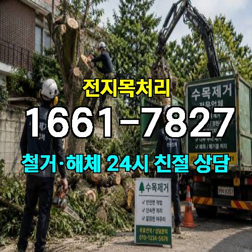 게시판 이미지 2779