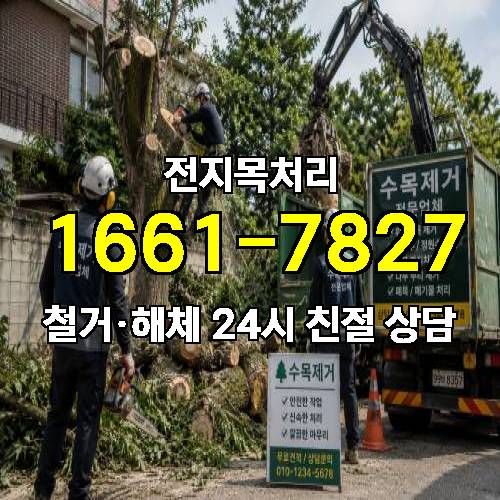 게시판 이미지 322