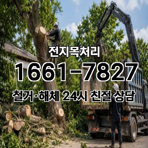 게시판 이미지 3653