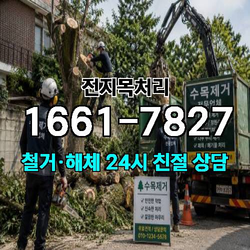 게시판 이미지 737