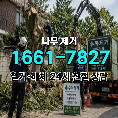 게시판 이미지 1707
