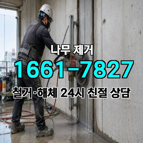 게시판 이미지 2273