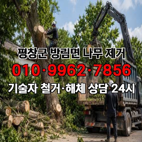 게시판 이미지 279