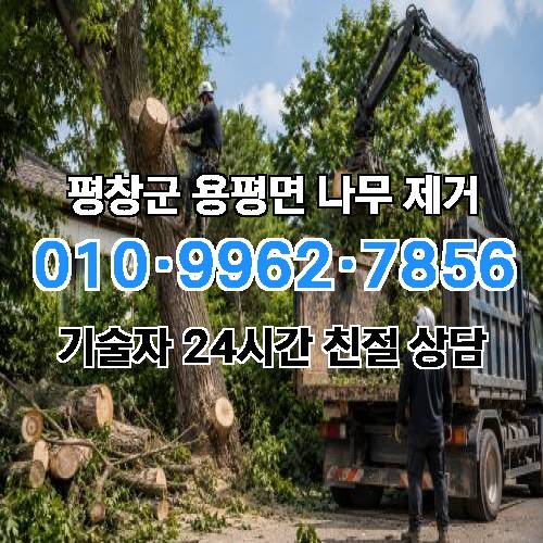게시판 이미지 281