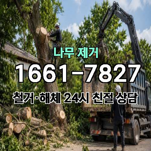 게시판 이미지 3385