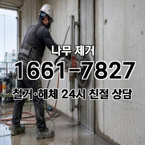 게시판 이미지 4002