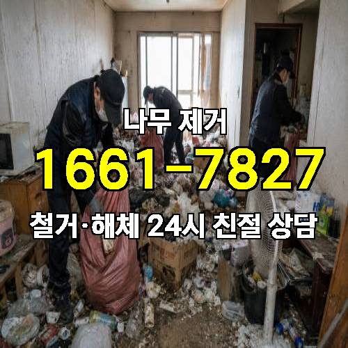 게시판 이미지 4215