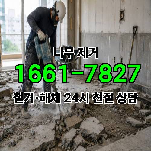 게시판 이미지 717