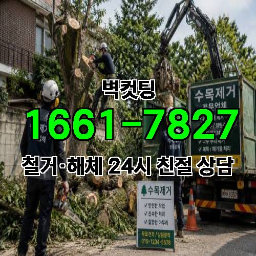 게시판 이미지 4006